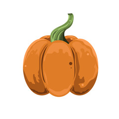 Pumpkin vector. pumpkin icon. Halloween icon