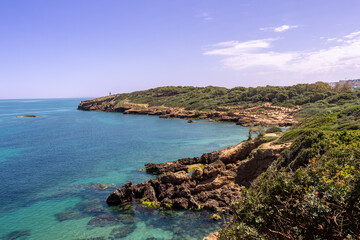 Fototapeta na wymiar Wide angle panorama of the ruins of the Roman Archeological Park of Tipaza ( Tipasa ), Algeria. Green trees and spring maritime flowers.
