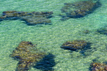 Beautiful sandy bottom of crystal water in the clear Mediterranean sea. Tipaza, Tipasa, Algeria.