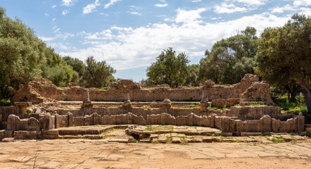 Fototapeta na wymiar Ruins of the Roman Archeological Park of Tipaza, Tipasa, Algeria : theater. Beautiful green trees and blue sky.