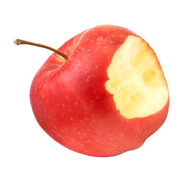 One red ripe bitten apple on a transparent and white background. PNG. Side view.