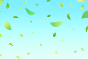 背景素材_落ち葉_空