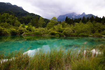 Zelenci - emerald-green lake in the mountains, in Kranjska Gora, Slovenia