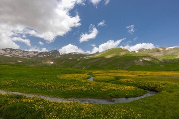 Naklejka premium Berçelan plateau snowy mountain landscape and blooming ground, Hakkari, Turkey