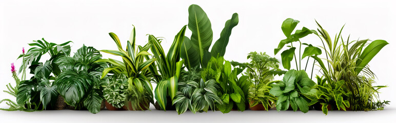 Group of green plants isolated on transparent background.