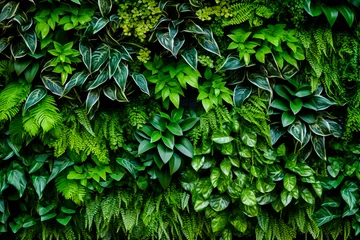 Fotobehang Plant wall natural green wallpaper and background. © leo_nik