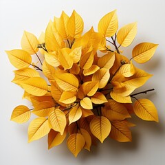 Fototapeta na wymiar Bunch Yellow Leaves ,Hd, On White Background