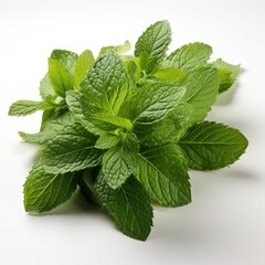 Close Up Mint Leaves ,Hd, On White Background