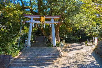 神社の外観