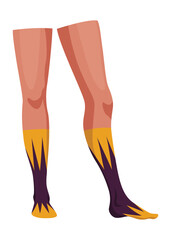 Woman fashion stocking, cartoon icon. Legs in fashionable socks. Elegant female legs. Clothing pieces, garment with bright colored print , footwear
