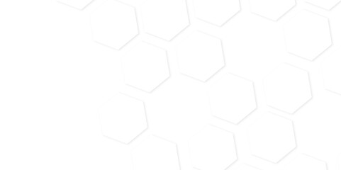 Abstract background with seamless geometric pattern . Geometry pattern hexagon. Hexagonal netting. honeycomb white and gray Background ,light and shadow ,Vector illustration,