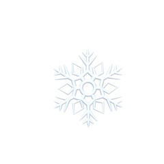 3d snowflake isolated icon