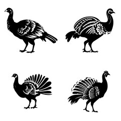 turkey svg, peacock png, turkey illustration, silhouette, bird, animal, vector, birds, illustration, fly, nature, animals, black, set, eagle, duck, wild, icon, wildlife, collection,