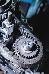 Close-up of a transfer case chain with gear removed from the transmission