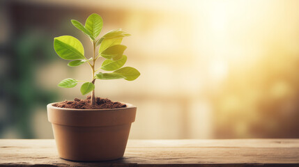 Growth and financial gain are symbolized by a healthy potted green tree, illustrating the fruitful consequences stemming from judicious fiscal decisions.