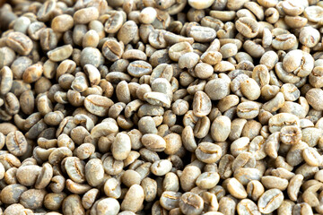 Green coffee beans are spread out on the surface.
