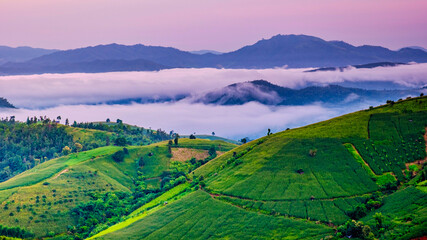 Beautiful sunset with green Terraced Rice Field in Chiangmai, Thailand