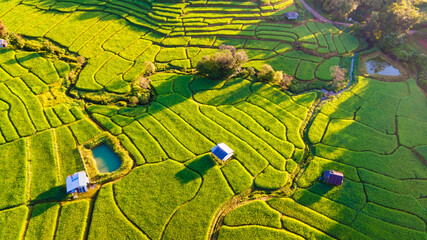 Terraced Rice Field in Chiangmai, Royal Project Khun Pae Northern Thailand