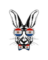 Easter bunny hand drawn portrait. Patriotic sublimation in colors of national flag on white background. Paraguay