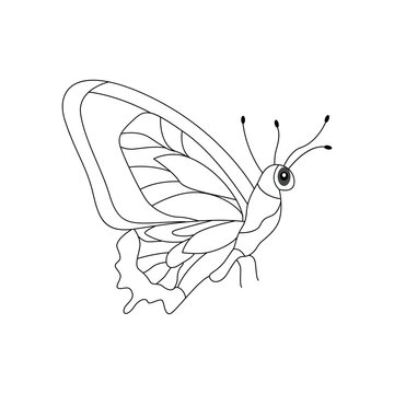 Continuous butterfly one line drawing and simple single outline vector Drawing