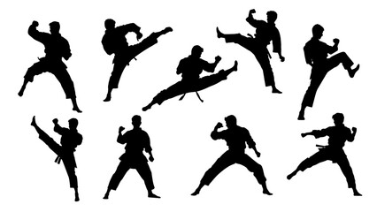 karate fight Martial arts - obrazy, fototapety, plakaty