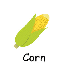 Corn illustration flat vector. Vegetables flashcard. Element for kitchen, cooking, super market, healthy lifestyle concept.