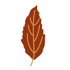 Obraz premium Autumn leaves vector, fall leaves Autumn, Autumn leaves, Autumn falling leaves, Beautiful falling autumn