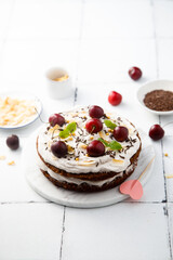 Homemade chocolate cake with coconut and cherry
