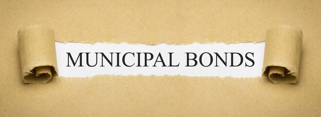 Municipal Bonds