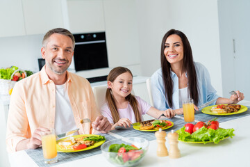 Obraz na płótnie Canvas Photo of smiling positive wife husband little girl enjoying meals together indoors apartment kitchen