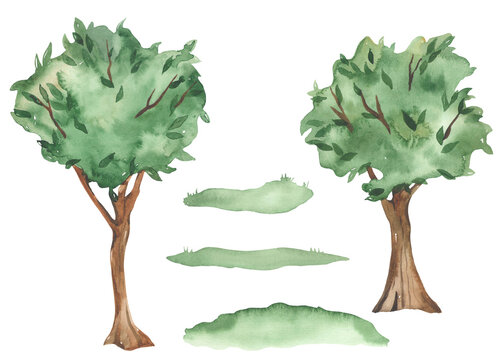 Watercolor trees with grass, forest elements for cards, invitations, forest landscape