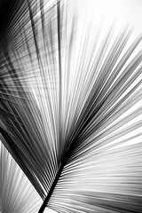 Line monochrome background black graphic design wallpaper white texture abstract pattern stripes light