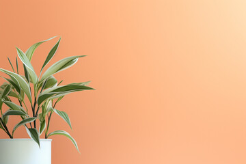 Plant on orange background. Copy space