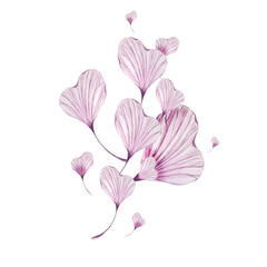 composition with flower purple petal. isolated on white background