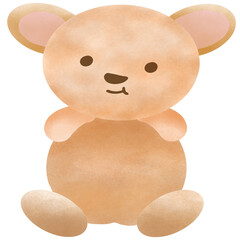 Brown bear on white background