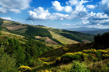 Obraz premium Rural landscape in Tuscany near Radicofani