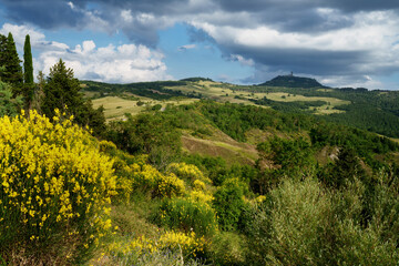 Fototapeta na wymiar Rural landscape in Tuscany near Radicofani