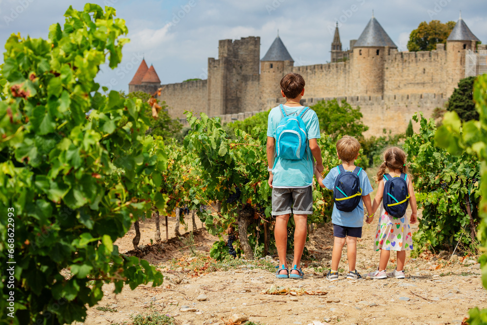 Wall mural young explorers ready for carcassonne castle medieval adventure