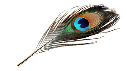 Peacock feather isolated on transparent background, Generative ai.