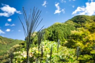 秋の山里風景
