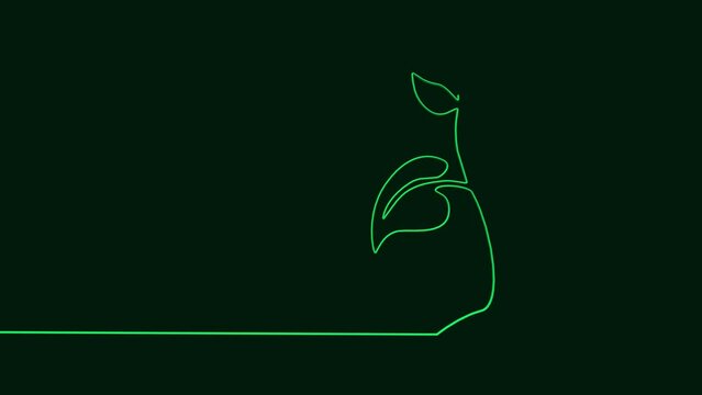 Single continuous line art growing sprout. Plant leaves seed grow soil seedling eco natural farm concept design one sketch outline drawing video illustration