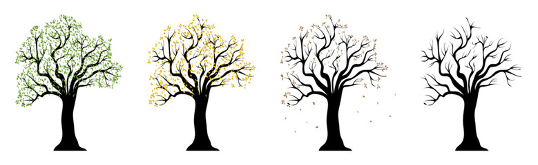 Trees. Tree of 4 seasons. Trees vector logos. Tree silhouette