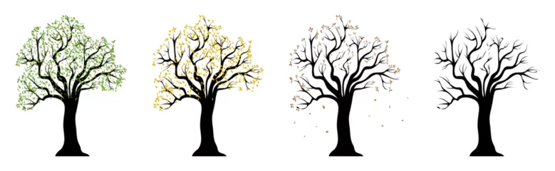 Tuinposter Trees. Tree of 4 seasons. Trees vector logos. Tree silhouette © smile3377