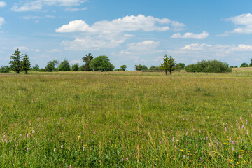Landschaft im NSG „Hohe Rhön