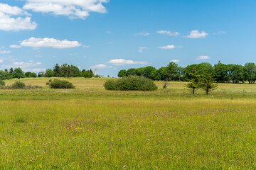 Landschaft im NSG „Hohe Rhön