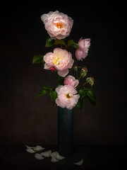 Last of the summer roses, still life with beautiful pink fading roses.