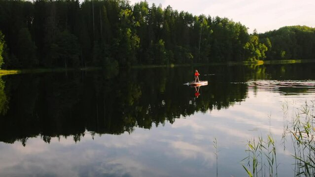 Little girl wearing life jacket paddling on a stand-up paddleboard (SUP) on a forest lake during the sunset alone