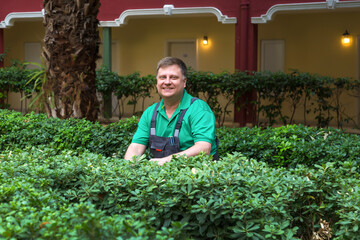A man gardener cares for bushes of plants in the courtyard of an apartment building.
