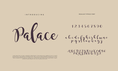 Abstract Calligraphy font alphabet. Minimal modern urban fonts for logo, brand etc. Typography typeface uppercase lowercase and number. vector illustration
