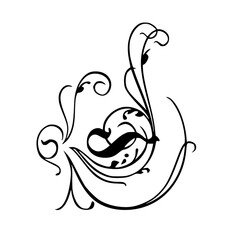 Abstract floral ornaments. Flower overlay. Shape and shapes. Graphic resource and backdrop. PNG